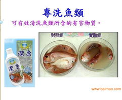 廈門臺(tái)灣洗滌用品潔康 優(yōu)質(zhì)家居清潔選擇與市場(chǎng)機(jī)遇